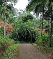 Bencana tanah longsor terjadi di Dusun Cibeunying, Kecamatan Majenang, Cilacap