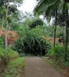 Bencana tanah longsor terjadi di Dusun Cibeunying, Kecamatan Majenang, Cilacap